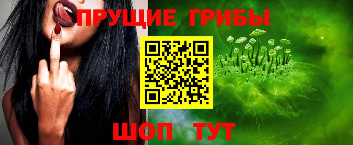 Галлюциногенные грибы MAGIC MUSHROOMS Каменск-Шахтинский