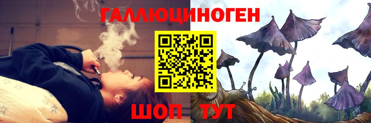 Каменск-Шахтинский  Псилоцибиновые грибы мухоморы  Вход с VPN 