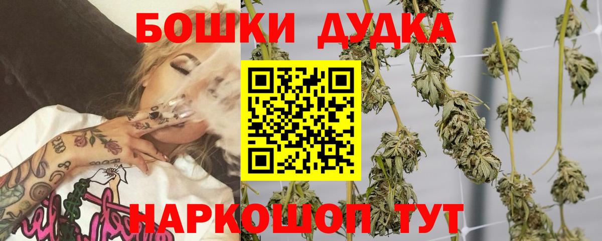 Бошки марихуана VHQ  Вход с VPN  Бошки марихуана VHQ  Каменск-Шахтинский  Конопля индика 